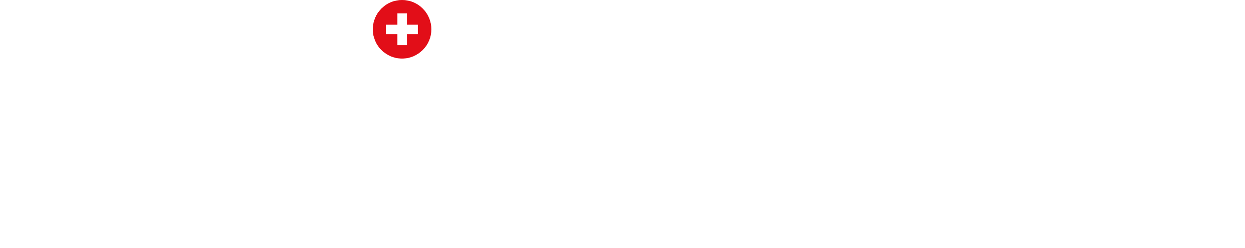 SwissAccs